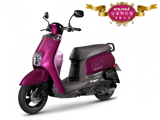 辰旺租車-chenwang-桃園中壢租車推薦