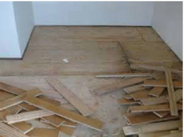 飛牛廢棄物清運-高雄廢棄物清運,仁武廢棄物清運,左營廢棄物清運,楠梓廢棄物清運,高雄工地廢棄物清運,