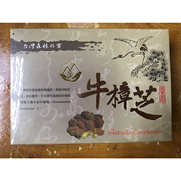 【森寶國際】牛樟芝複方膠囊10粒/盒