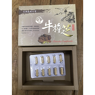 【森寶國際】牛樟芝複方膠囊10粒/盒