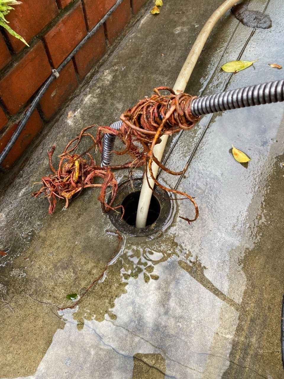 台北通水管-康立