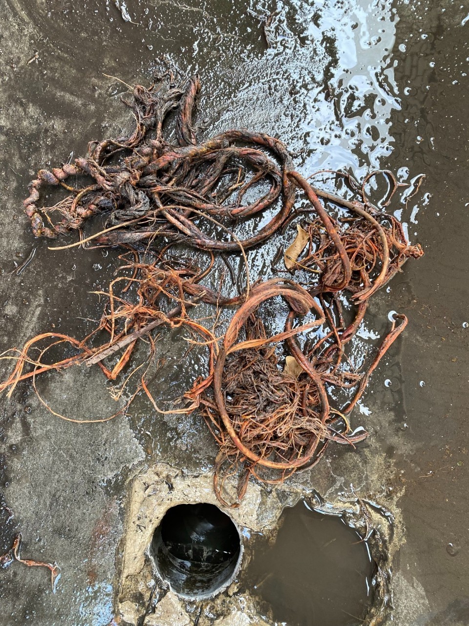 台北通水管-康立