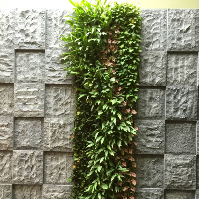 植生綠牆