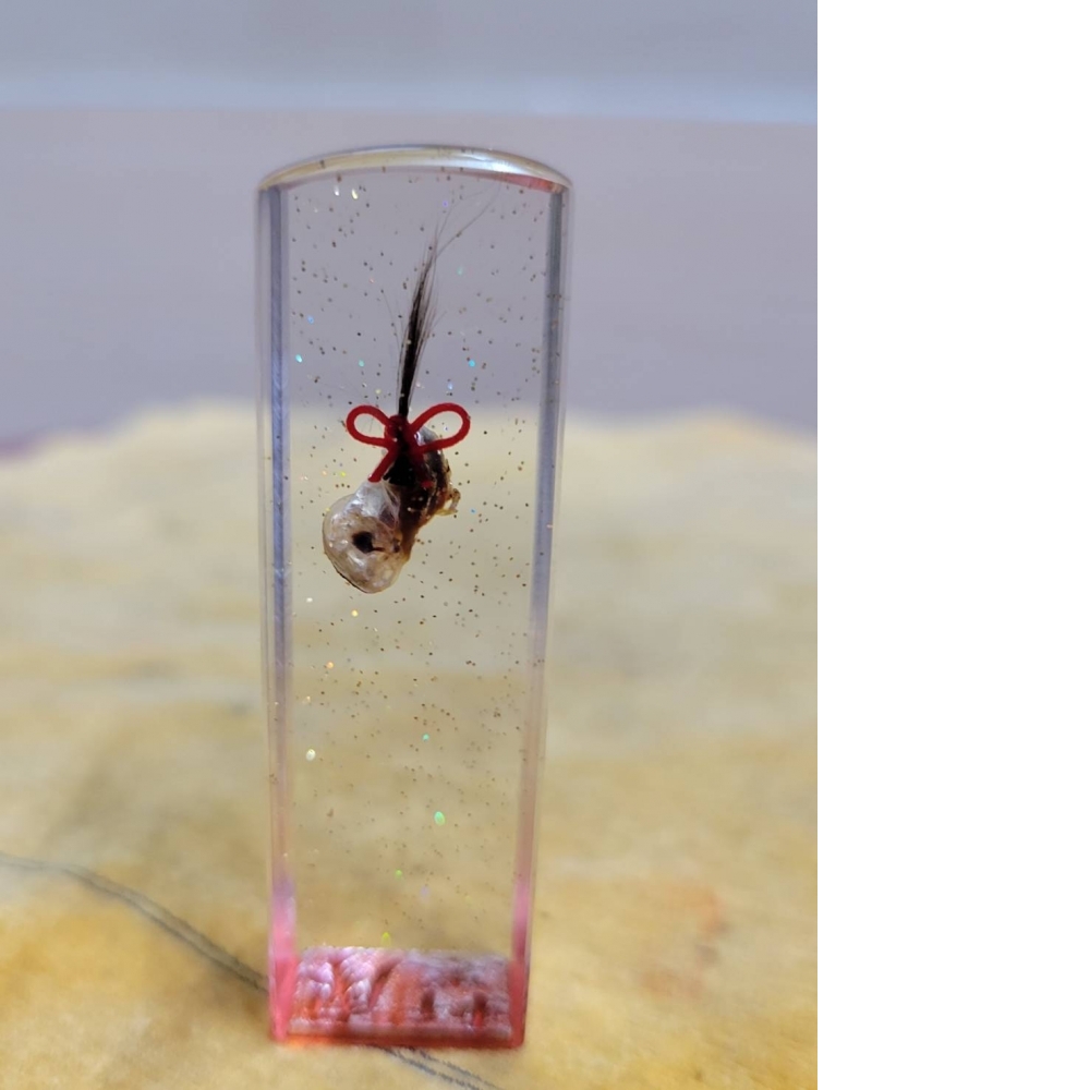 開運肚臍章|台中開運印章