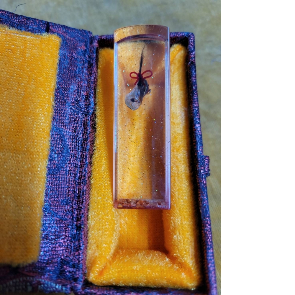 開運肚臍章|台中開運印章