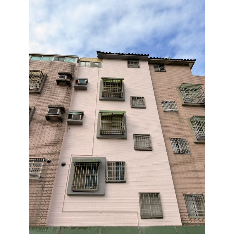 桃園區後外牆鷹架防水工程