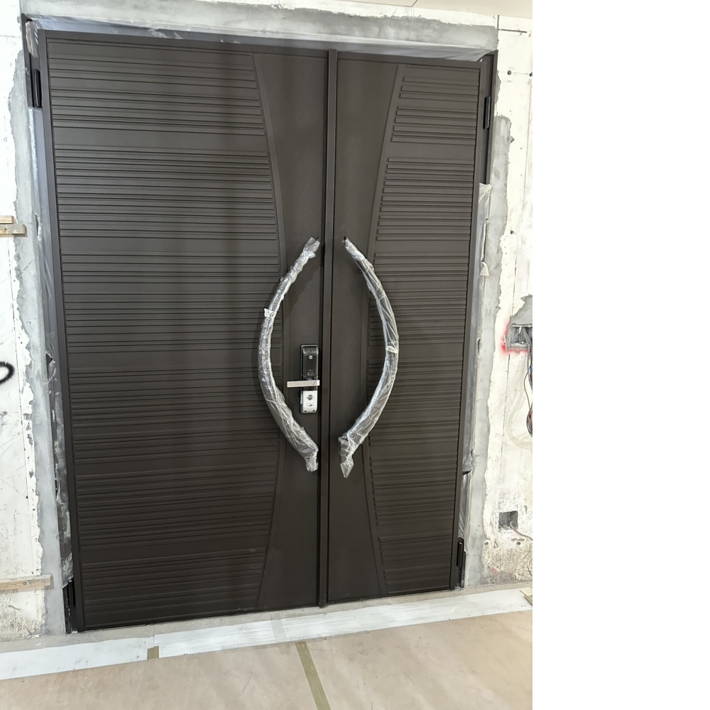 桃園龍潭透天安裝玄關門/展翅碳纖子母門+YALE-4109電子鎖