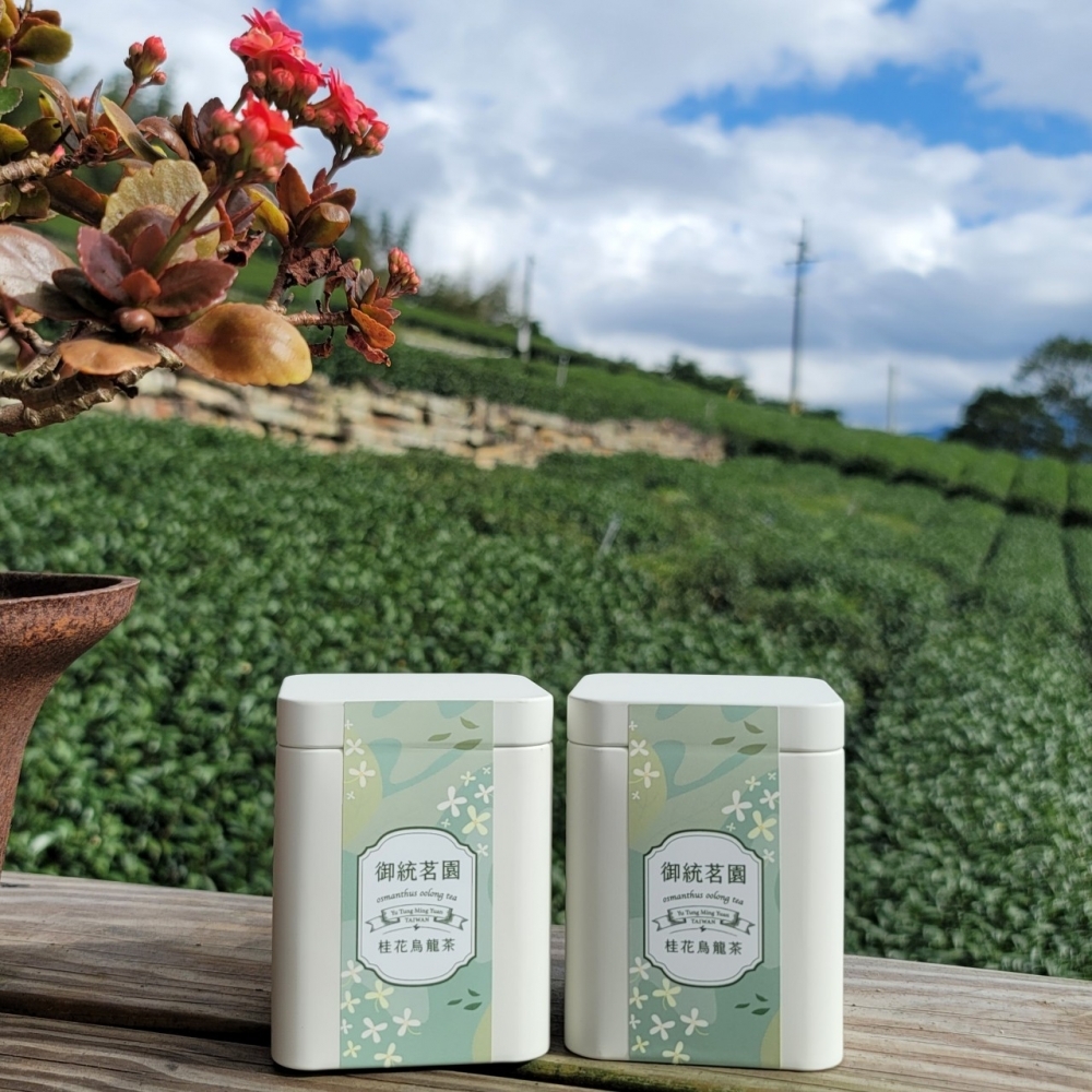 【精選】阿里山桂花烏