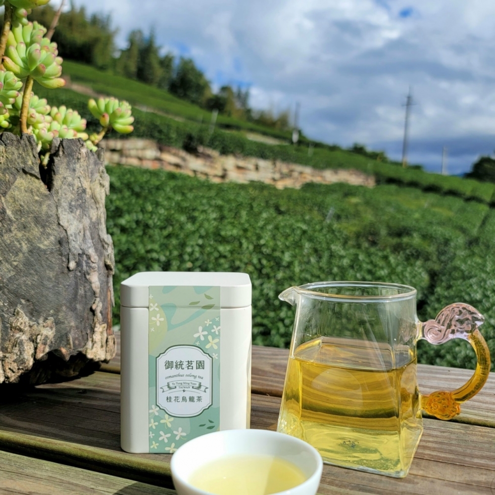 【精選】阿里山桂花烏龍茶（75g）