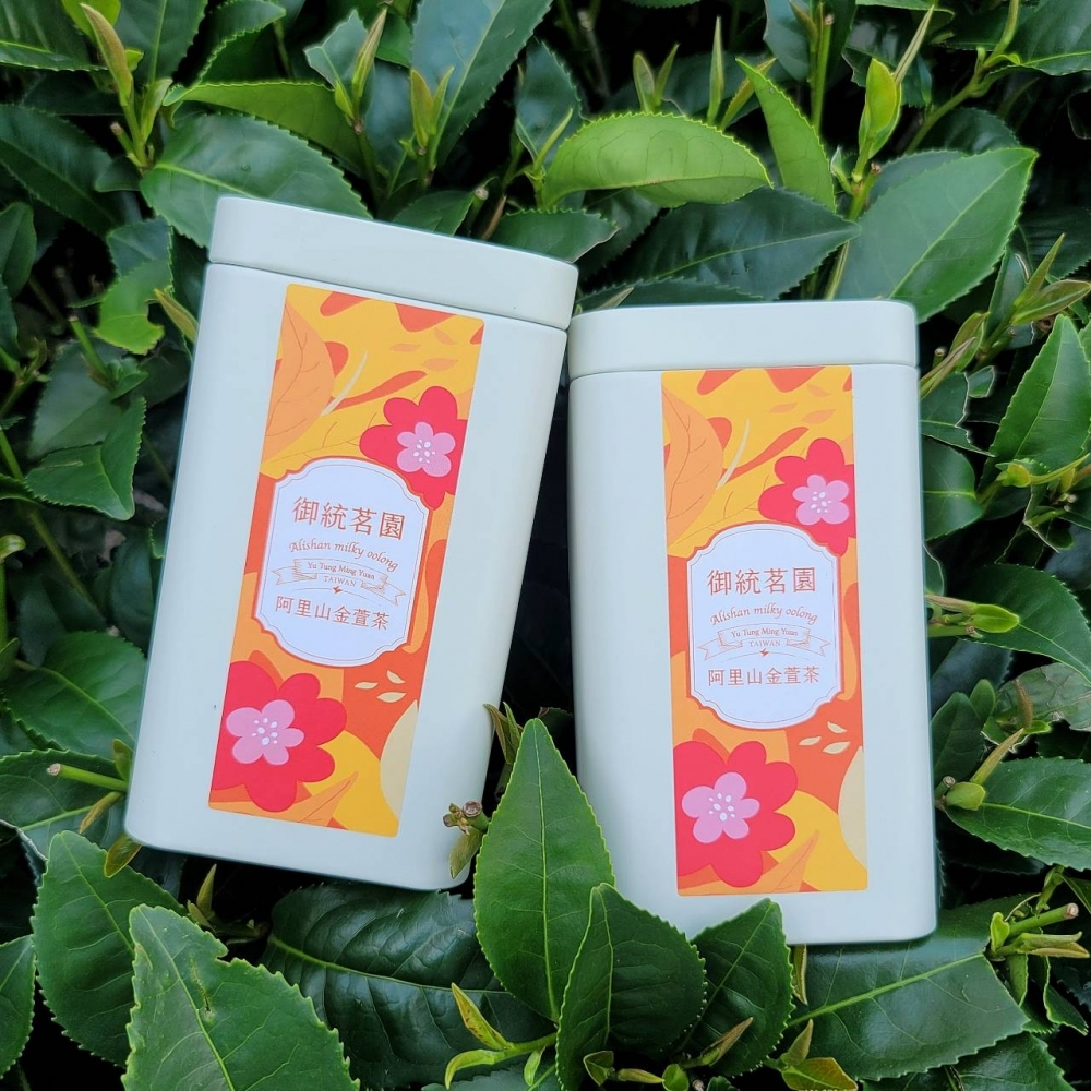 【精選】阿里山金萱茶（輕烘焙 150g）