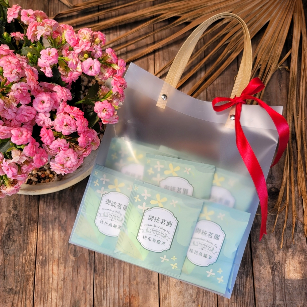 阿里山三角立體茶包－