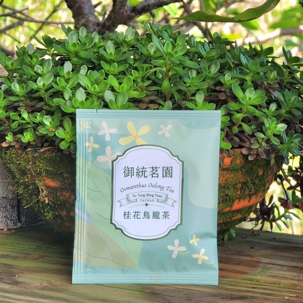阿里山三角立體茶包－桂花烏龍茶（30入）