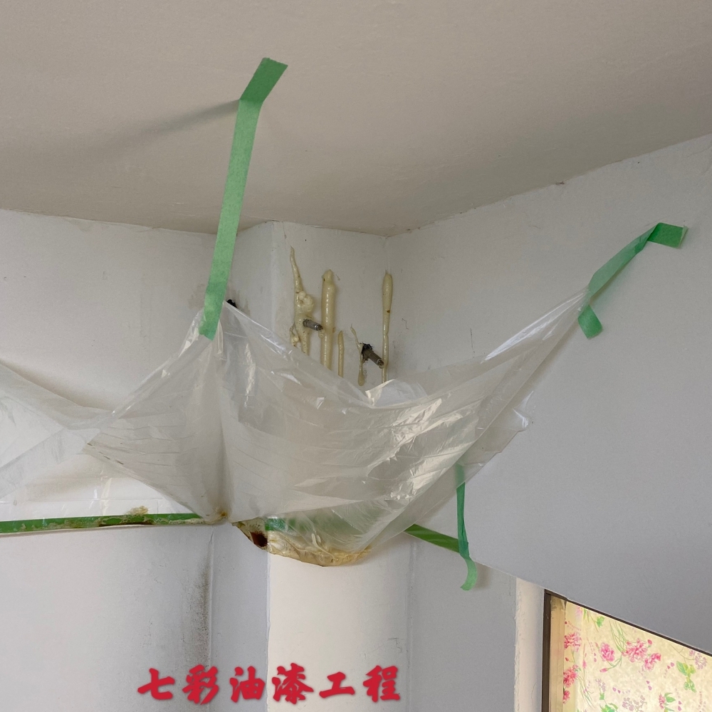 嘉義油漆工程-七彩 