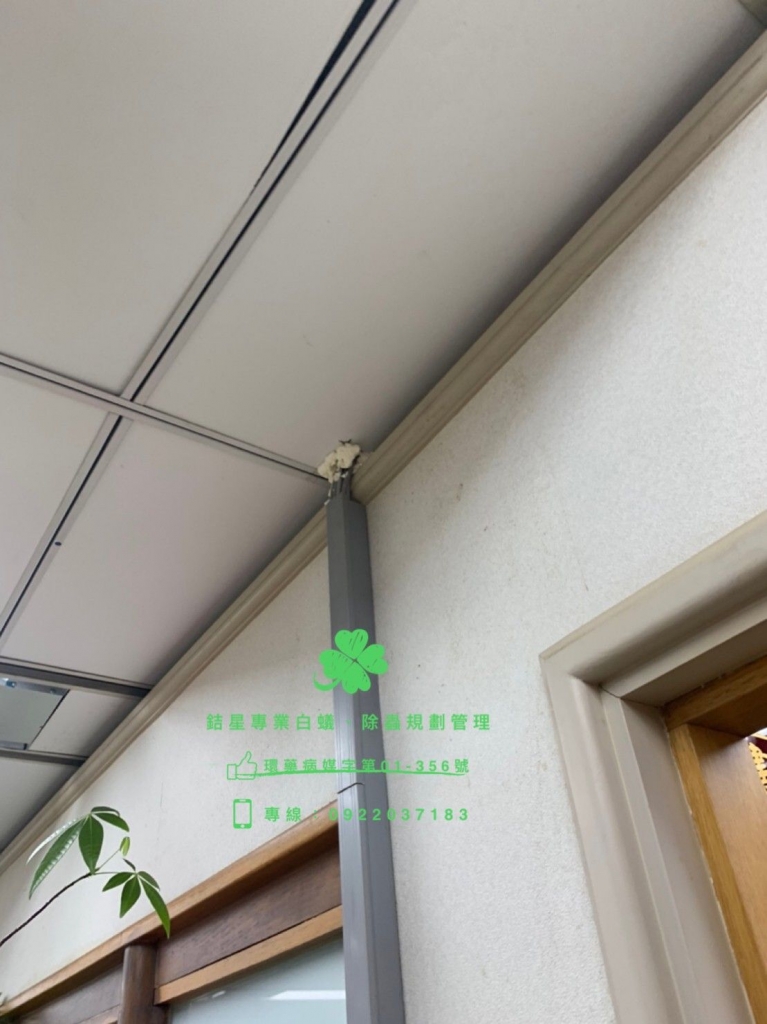台北辦公室大樓鼠害防治-銡星