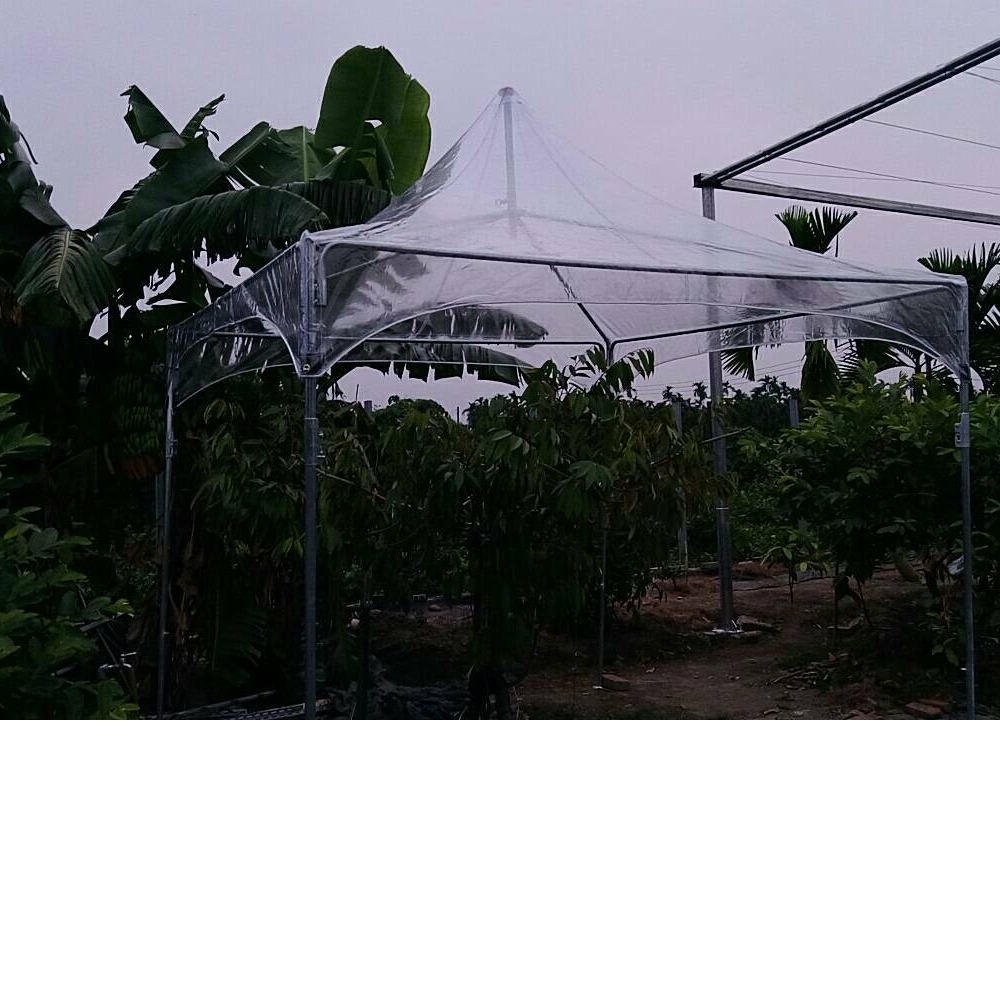 活動帳篷-阿里山帳