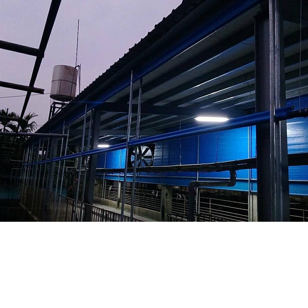 捲揚式垂直簾-蓄牧場