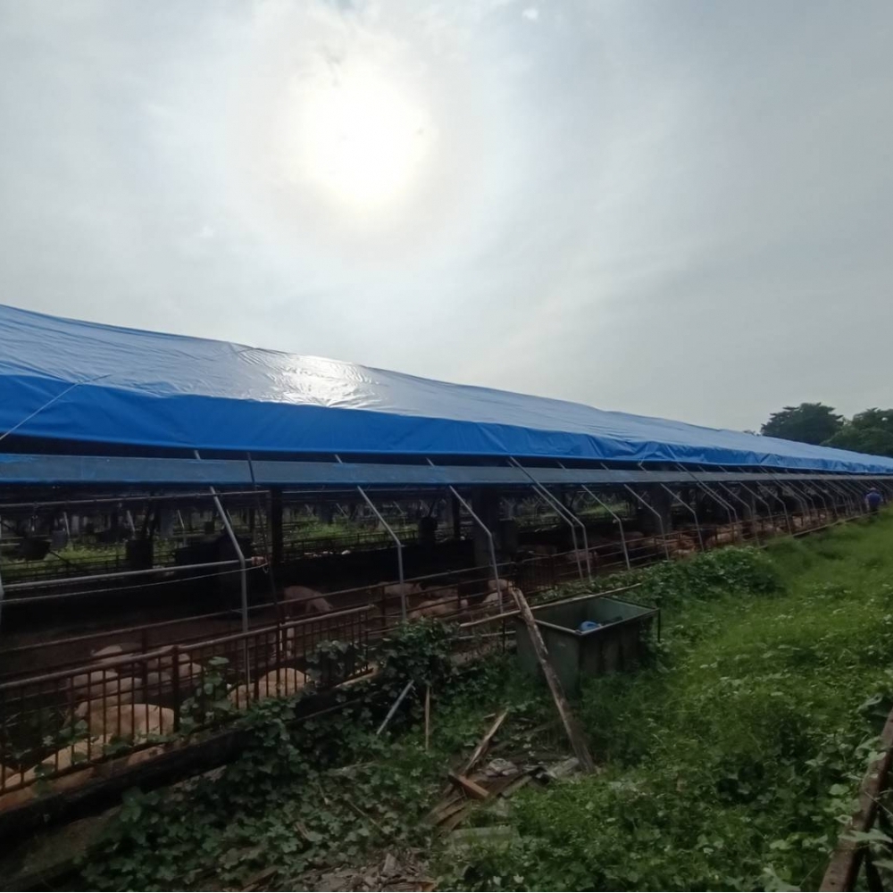 固定式帆布-屋頂防風止漏