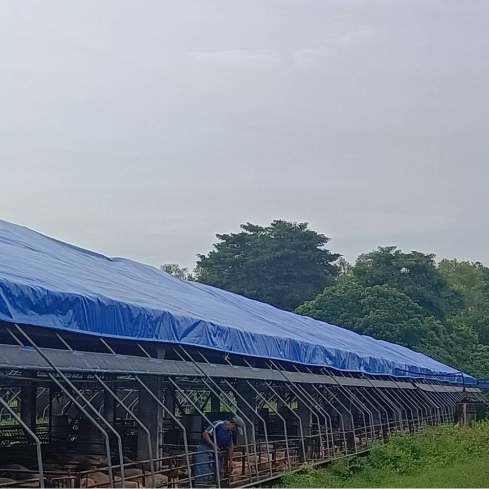 固定式帆布-屋頂防風