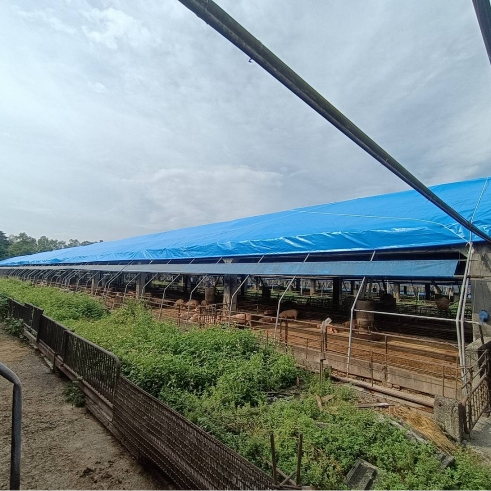 固定式帆布-屋頂防風止漏