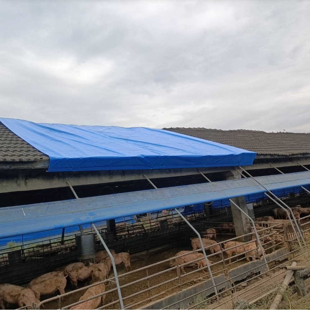 固定式帆布-屋頂防風止漏