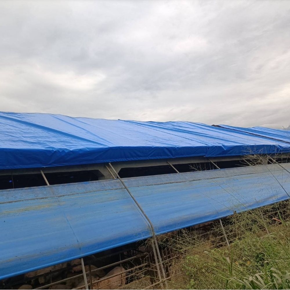 固定式帆布-屋頂防風止漏