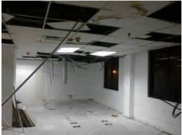 高雄廢棄物處理-飛牛