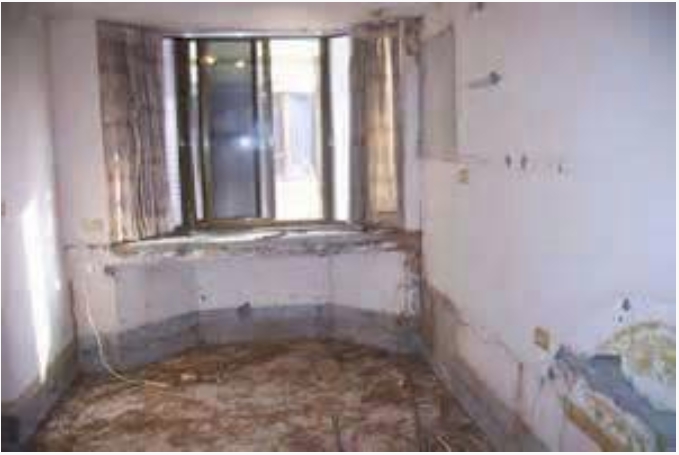 高雄裝潢後清運-飛牛