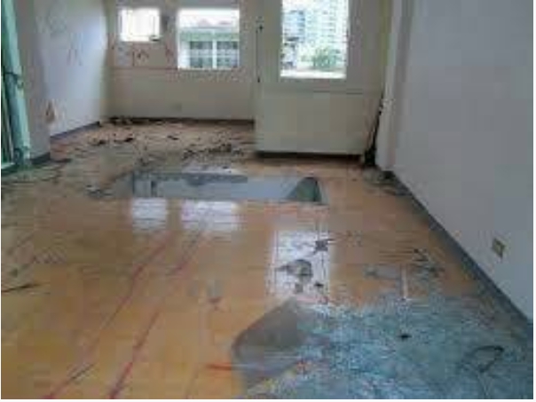 高雄裝潢後清運-飛牛