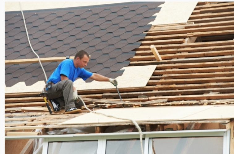 屏東廢棄物清運處理-飛牛