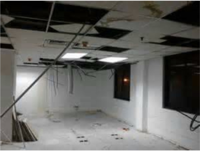 屏東拆除清運工程-飛牛