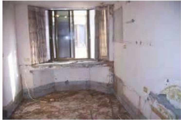 台南廢棄物清運-飛牛